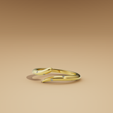 Dichotomy Ring Small