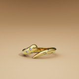 Dichotomy Ring Big
