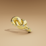 Unity Ring